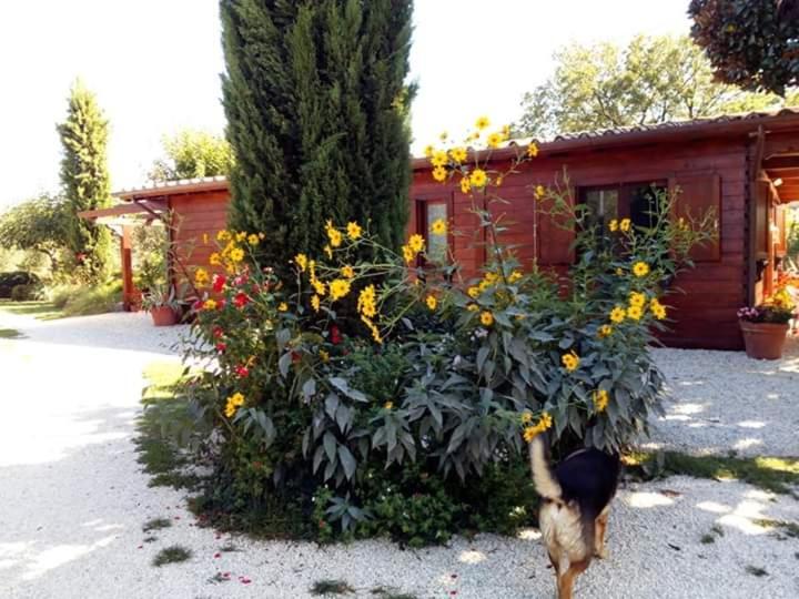 Hotel Il Casale Di Rosaria Zagarolo Exterior foto